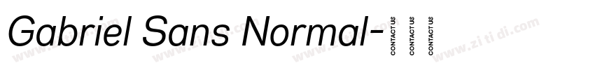 Gabriel Sans Normal字体转换